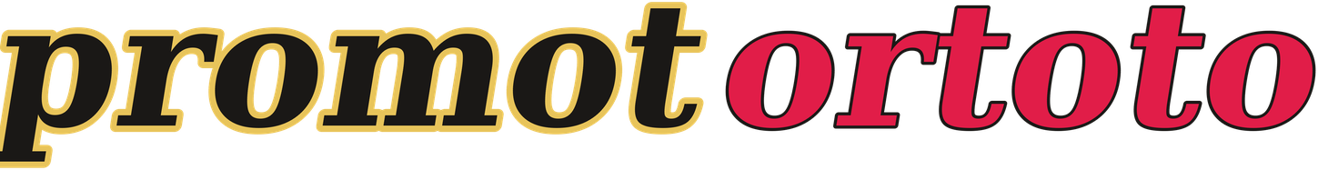 promotortoto logo